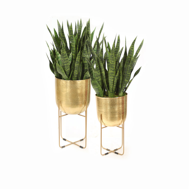 Distinctive Designs 2 Artificial Snake Plant in Planter Set Wayfair